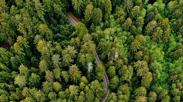 trends in sustainability reporting 2022