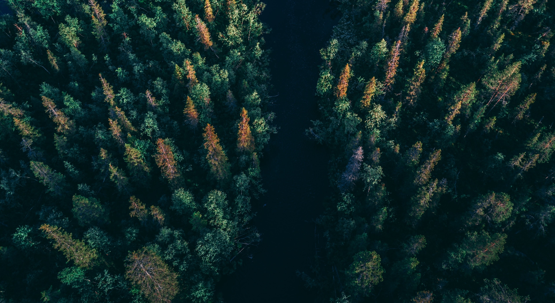 Course - ESG Reporting Frameworks and Standards - A Guide