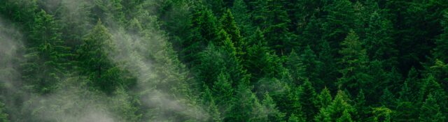 ghg protocol scope 3 tips