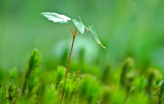 6 top tips ESG learning