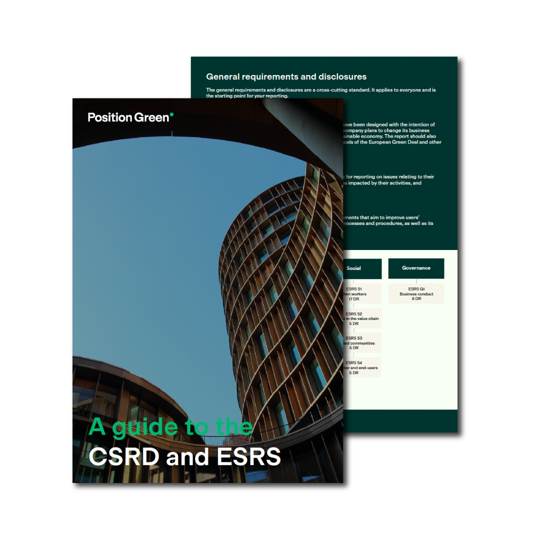 guide to esrs and csrd reporting