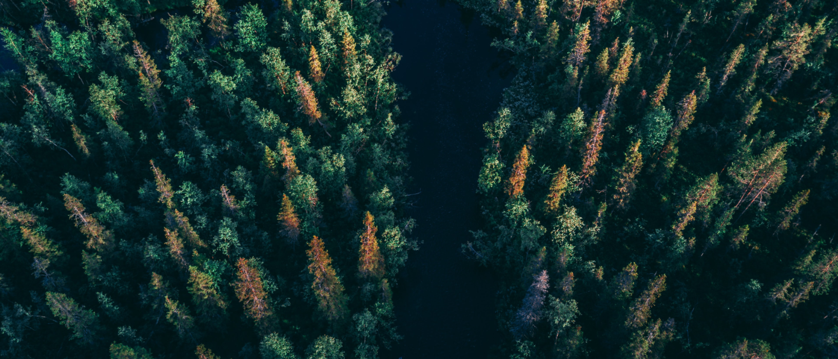 GHG reporting solutions