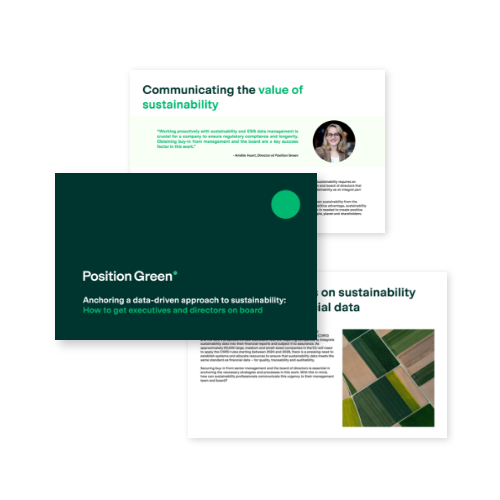 Sustainable Driven Management Guide