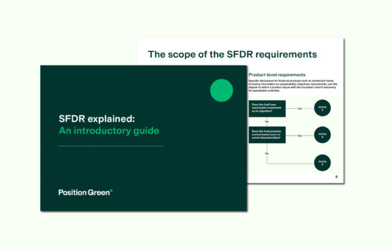 SFDR guide