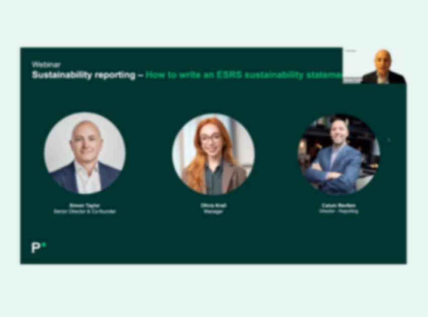 How to write an ESRS sustainability statement