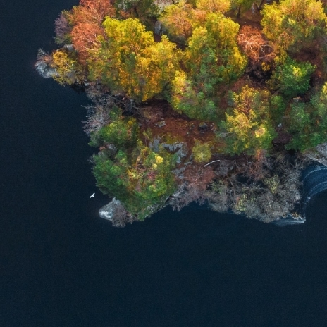 5 key steps to develop a robust net-zero transition plan