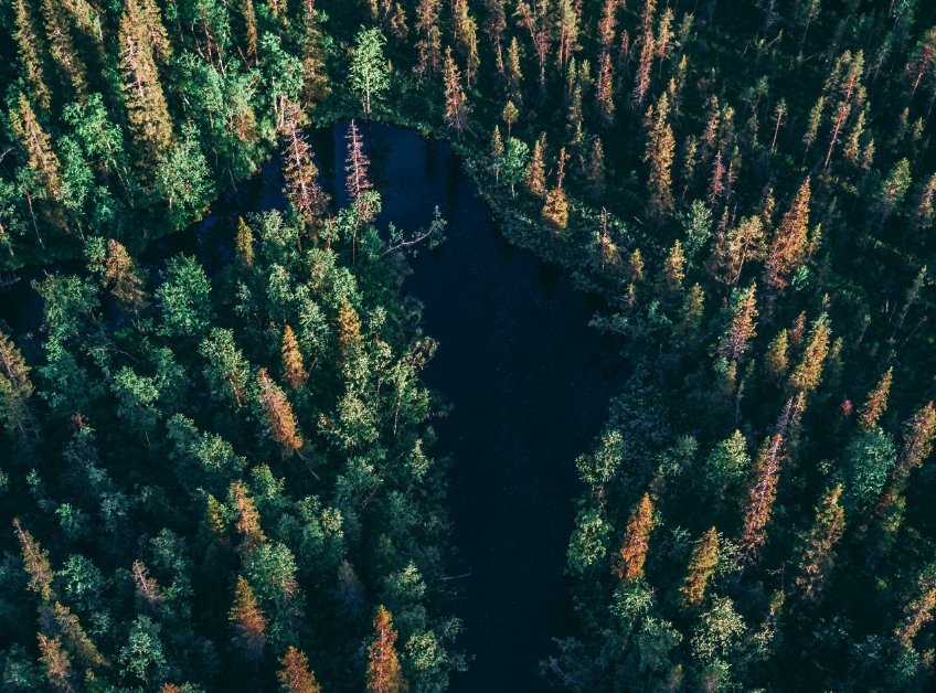 6 tips for a sustainability report that actually gets read