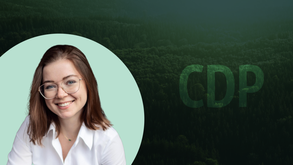 cdp 2025