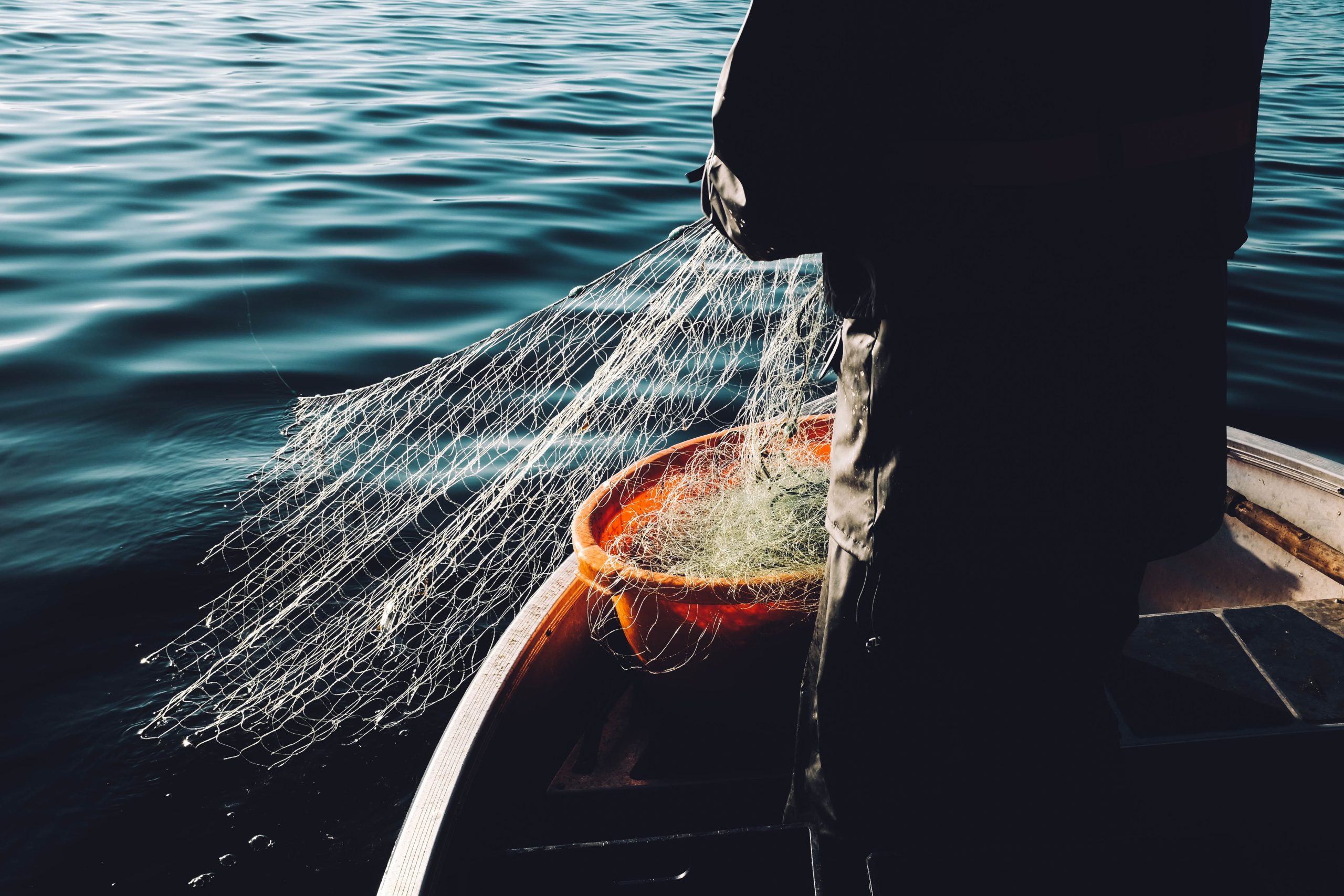Fisherman