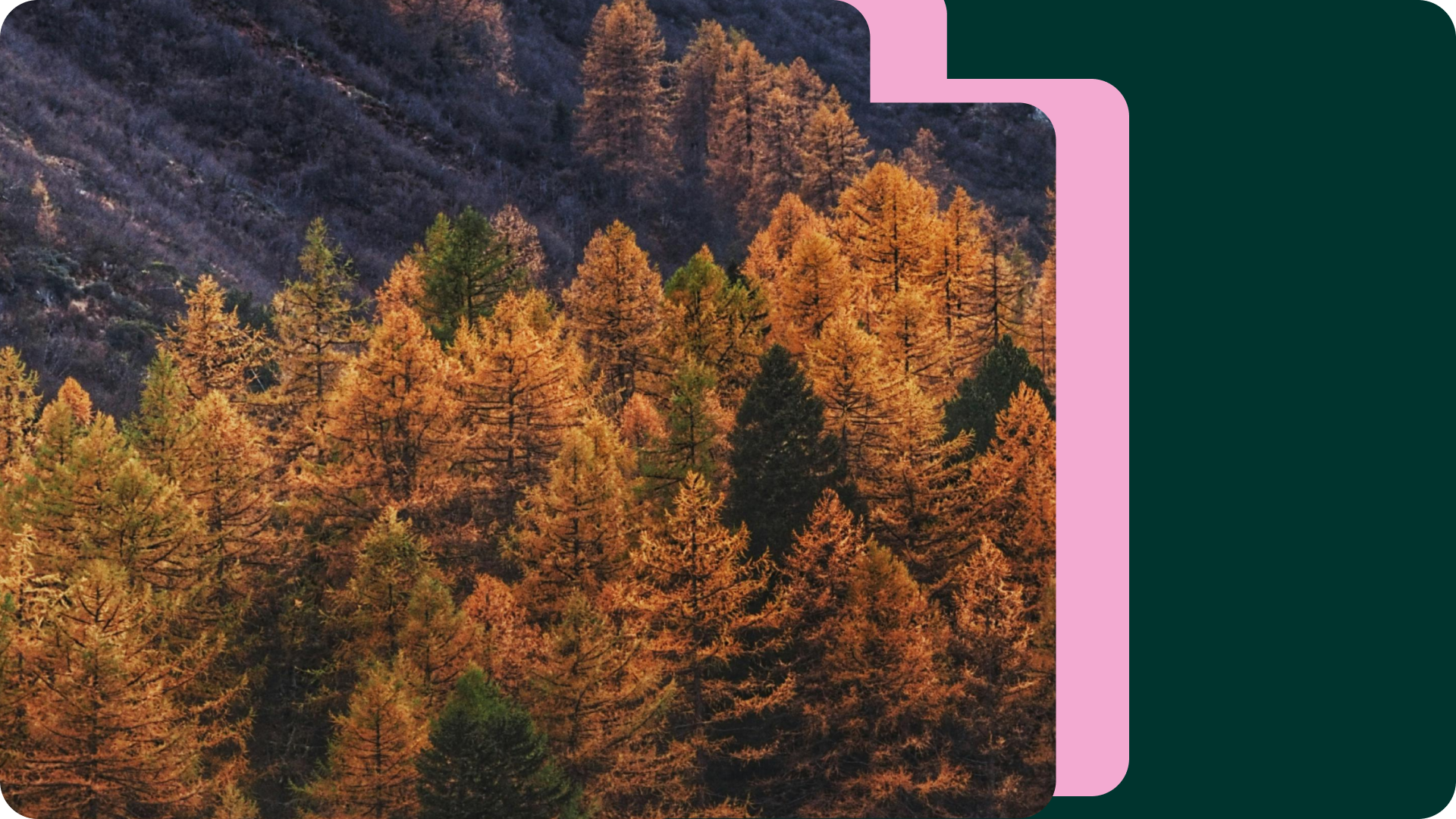 Header image for How climate risk is redefining competitiveness in European businesses