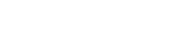 Nordic ferry logo